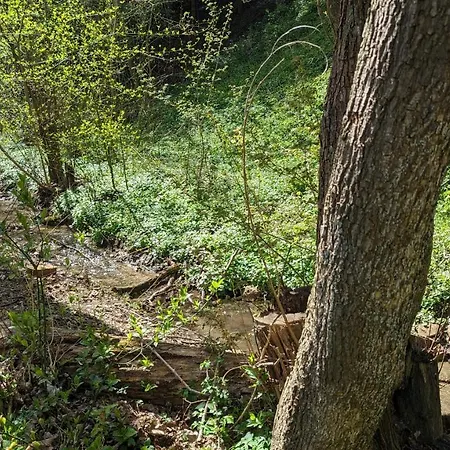 20 Min Nach Wien, Ruhig Und Gruen * 클로스터노이부르크