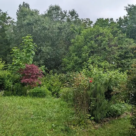 홈스테이 20 Min Nach Wien, Ruhig Und Gruen *