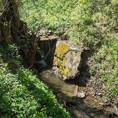 홈스테이 20 Min Nach Wien, Ruhig Und Gruen 클로스터노이부르크